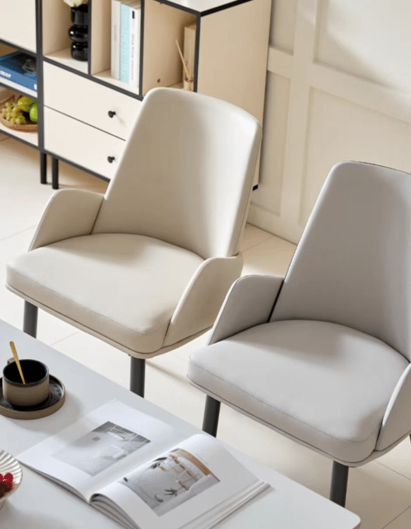 AMG Melbourne Furniture dining chair Moorabbin 3189