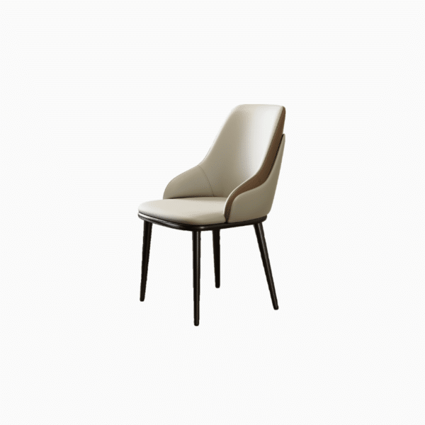 Two-tone Dining Chair